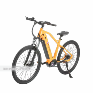 دوچرخه-برقی-نگین-مدل-LS250X