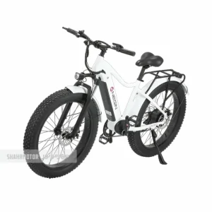 دوچرخه-برقی-نگین-مدل-MX350i