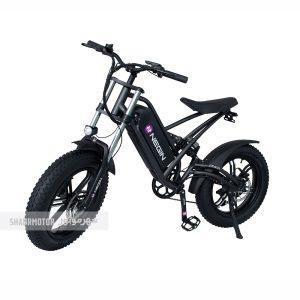 دوچرخه-برقی-نگین-مدل-PN1x-Sport